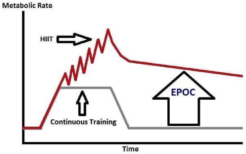 Heart rate monitor on a wrist