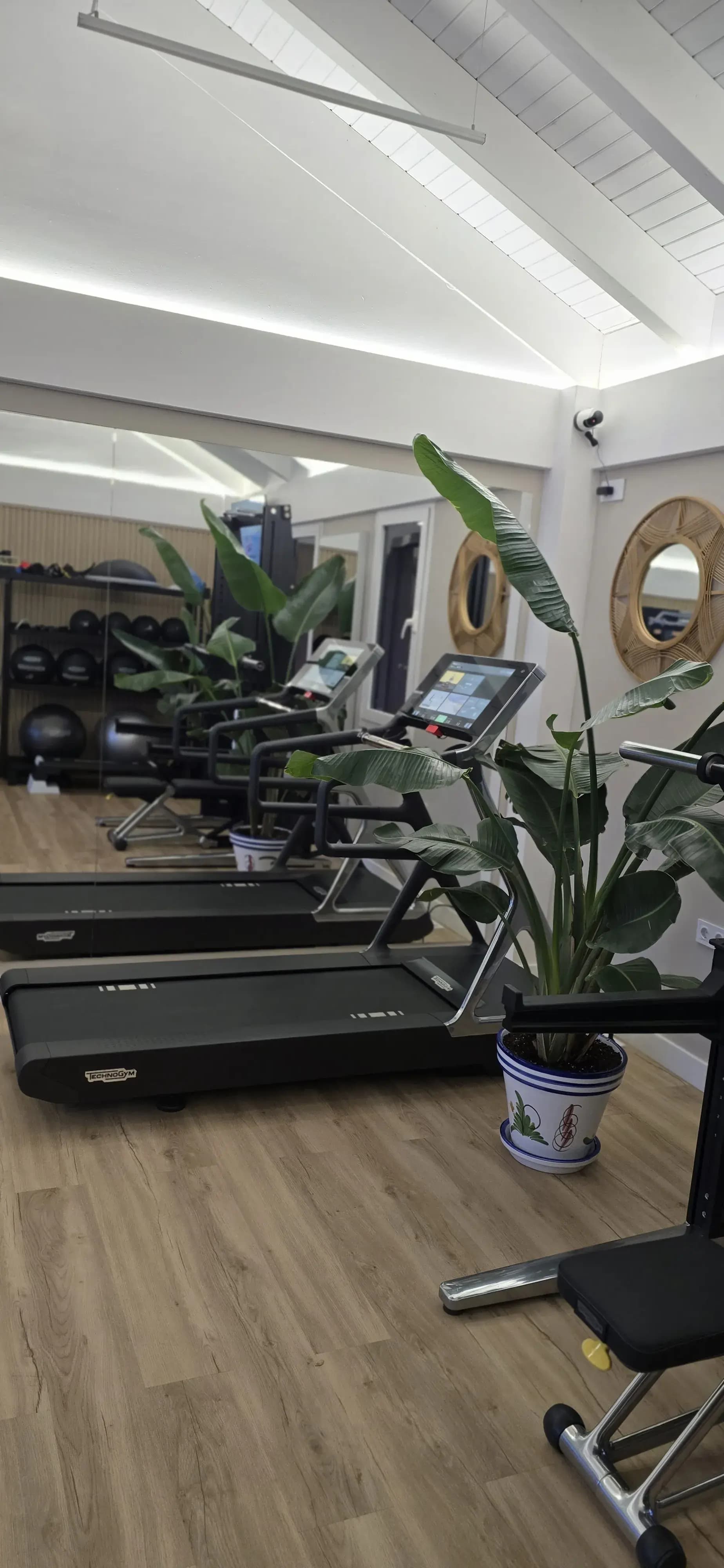 Nature & Performance